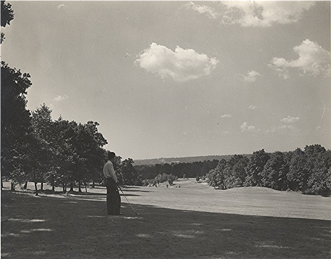 005_Aldecress- Golf