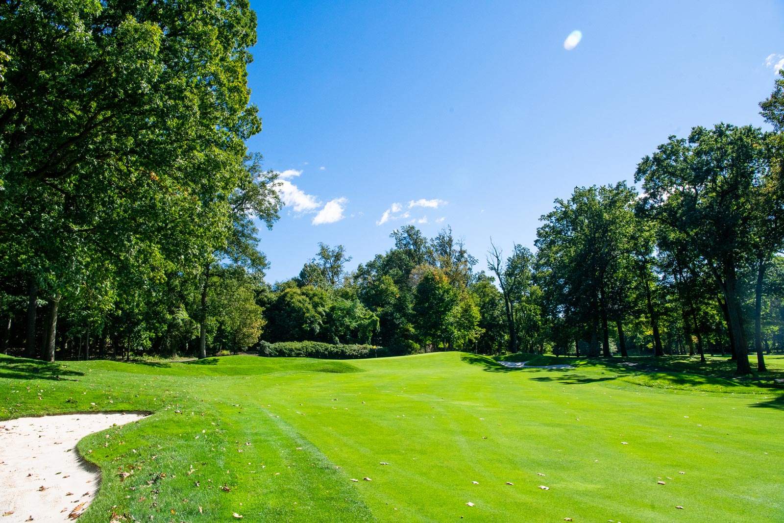 006_Alpine--Golf